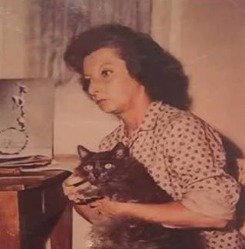 Remedios